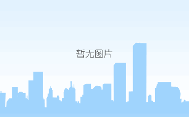 41.2003安徽省民营企业百名排序10强企业